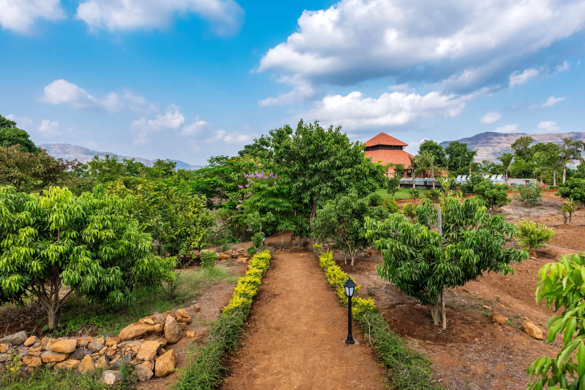 Farm walk across the Satori estate